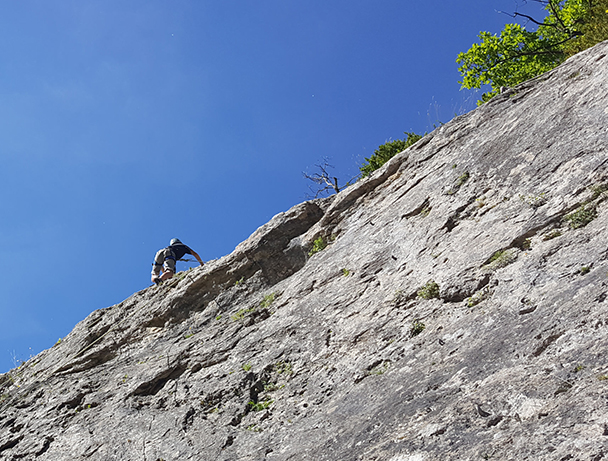 Escalade